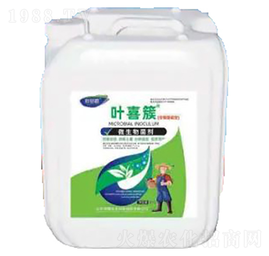 �~ϲ��-΢�������-�sҫ�r�I(y��)