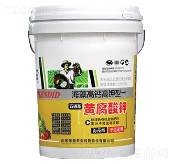 �������S�����-�sҫ�r(n��ng)�I(y��)