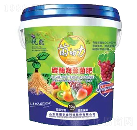 ̼ø�������-�sҫ�r(n��ng)�I(y��)