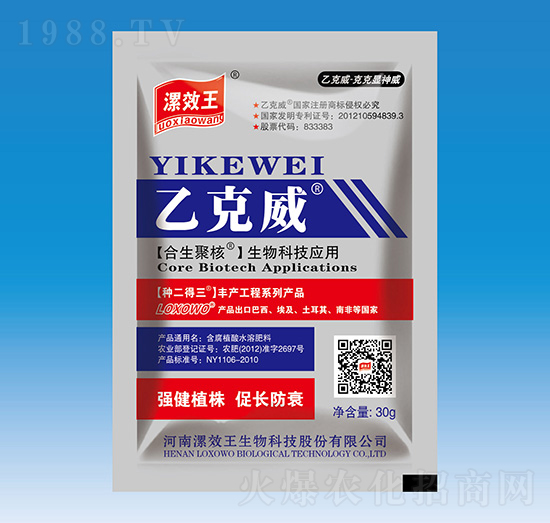 �ҿ���-�N������