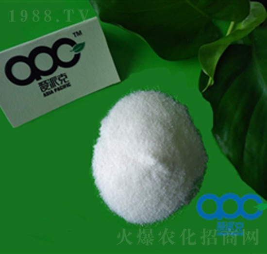 6-�S��������-���ɿ�