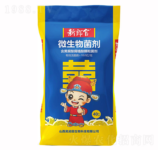 ΢�������-���ɹ�-껝�������