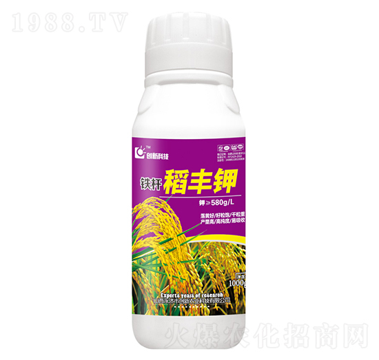1000g�F�U���S�-��(chu��ng)�¿Ƽ�