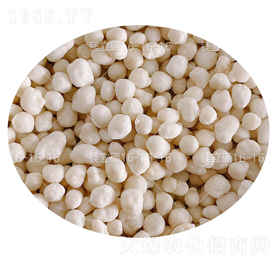 ������͏ͺϷ��ϣ��w����16-16-16-�V����-���컯�r�Y