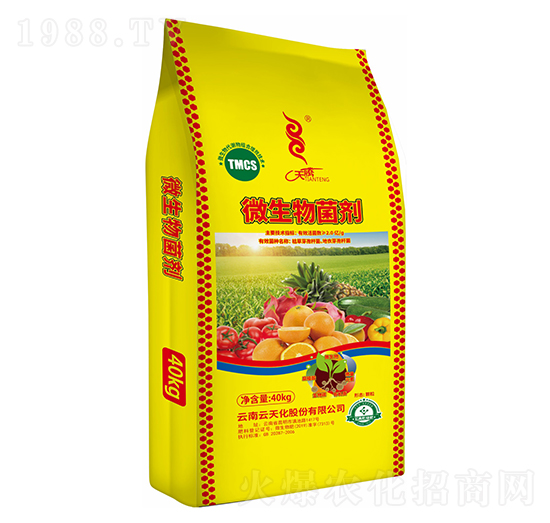 ΢�������-���v-���컯�r(n��ng)�Y