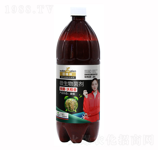 ΢�������-���ѡ��ֵ���-��ڱ�