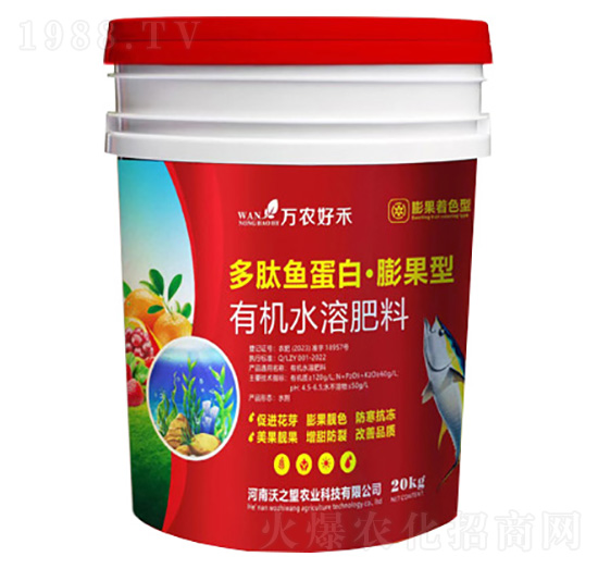 �����~(y��)����-�����-��֮��