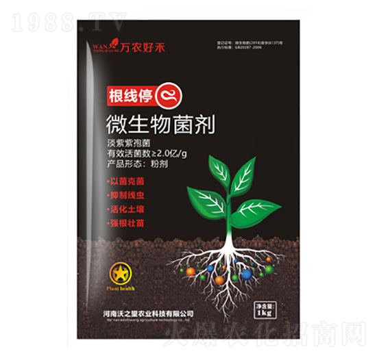 ����ͣ-��֮��