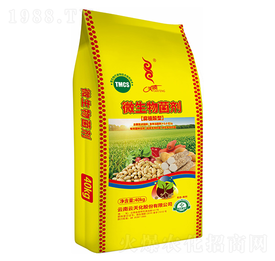 ��ֲ����΢�������-���v����