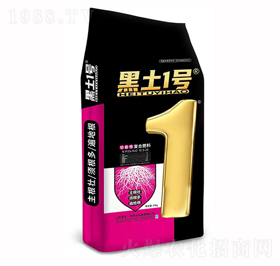 �����ԏ�(f��)�Ϸ���12-5-25-����1̖(h��o)