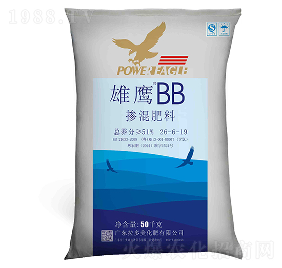 �������26-6-19-����BB-������
