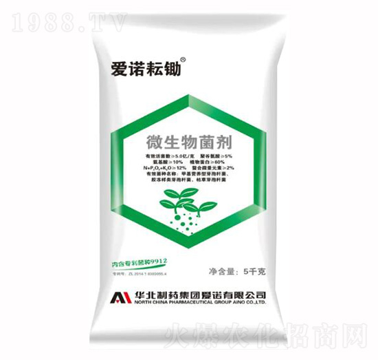 ��(��i)�Z���z΢�������-��(��i)�Z