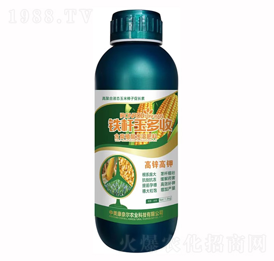 �F�U�����-�����S-���Π�