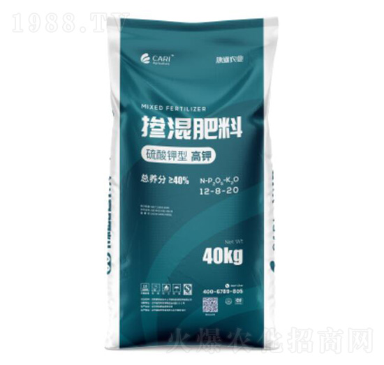 ������͸�⛓����12-8-20-��������