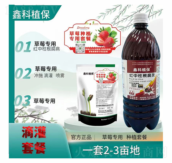 ��ݮ�t���������`�ײ�-�ο�ֲ��