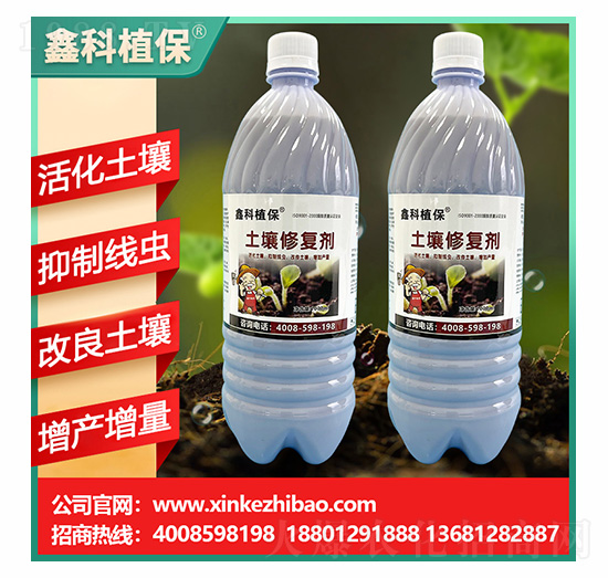 �����ޏ�(f��)��-�ο�ֲ��