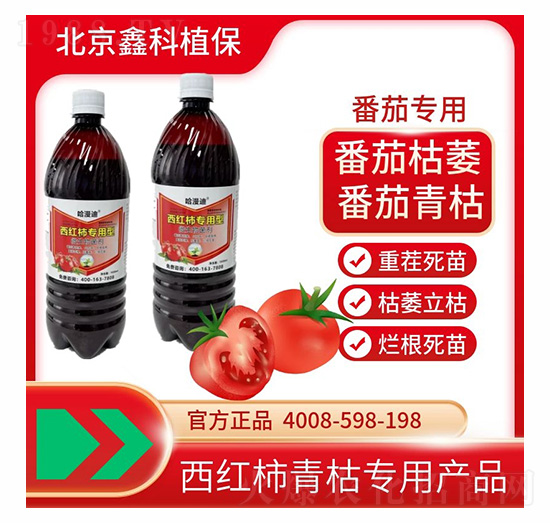 ������ݲ�����-�ο�ֲ��