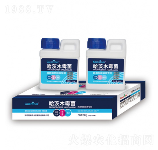 �����(x��)���������ù���ľù��-���v����