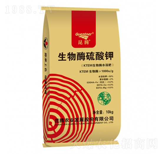 ����ø�����-���v����