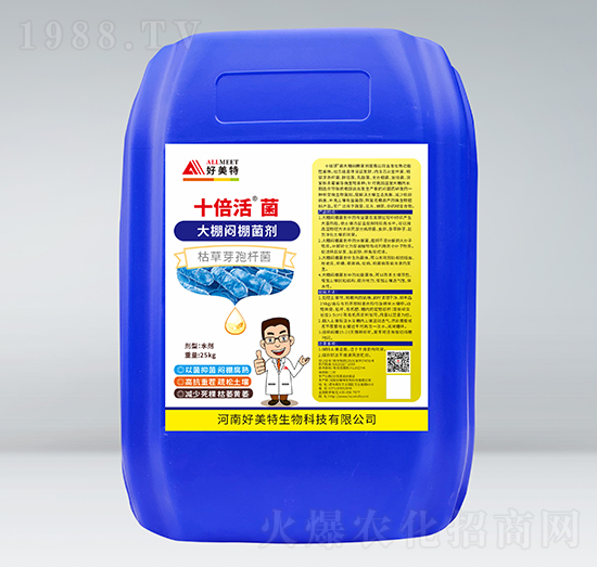 ��������-ʮ�����-������