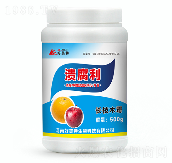 500g�L(zh��ng)֦ľù-������-������