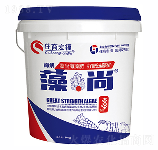 ����-ס�̺긣