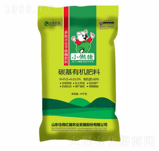 ̼���ЙC(j��)����-С���i-ס�̺긣