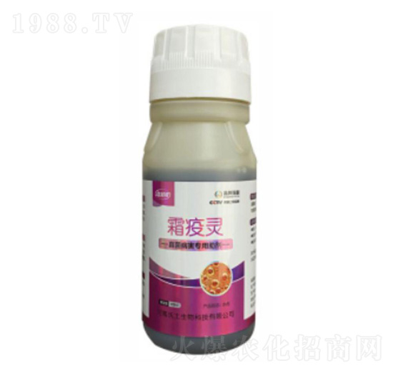 ���������(zhu��n)������-˪���`-�ډѴT�S-��������