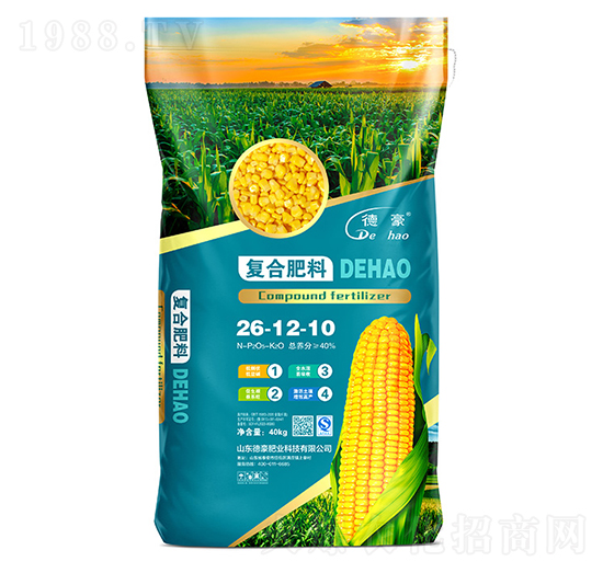 ���׌��ÏͺϷ���26-12-10-�º��ʘI(y��)