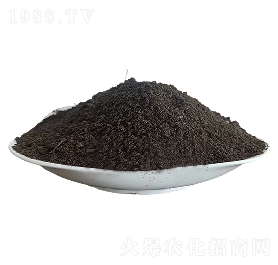 �l(f��)����S-�ּѷʘI(y��)