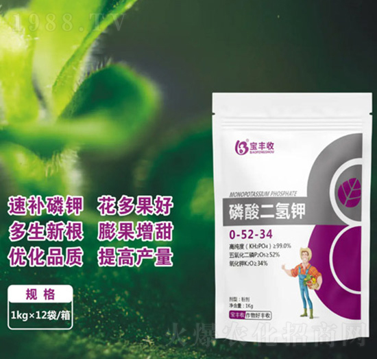 ��������0-52-34-���S��