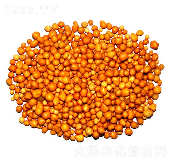 ����n�w����ጷ�15-7-13-ïʩ����