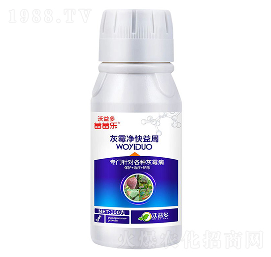 ��ù��������-ݮݮ��-�����