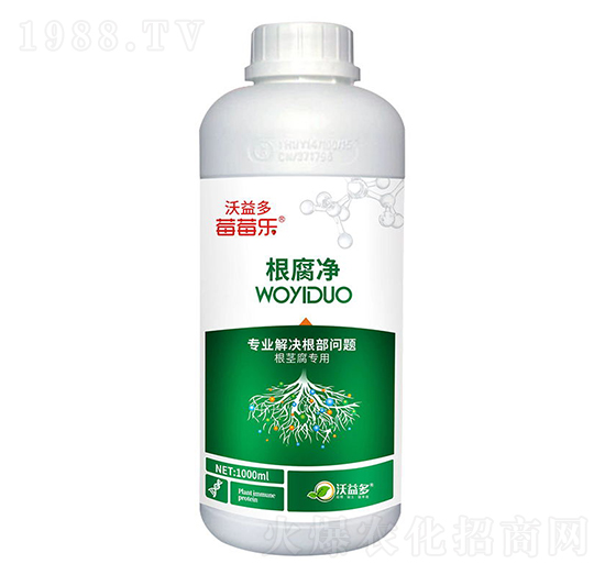 ������-ݮݮ��(l��)-�����