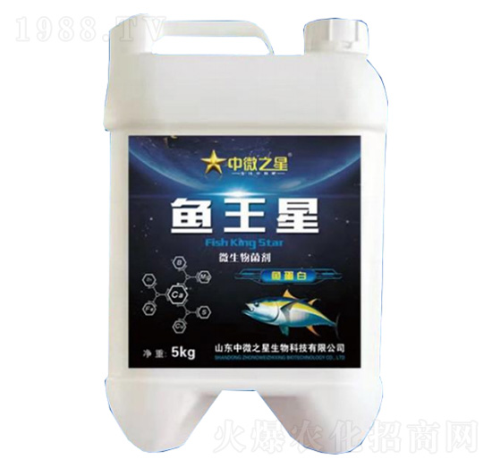 ΢�������-�~(y��)����-��΢֮��