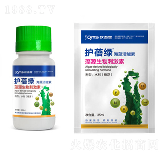 �o���G-���������-�W�~˼�r(n��ng)�I(y��)