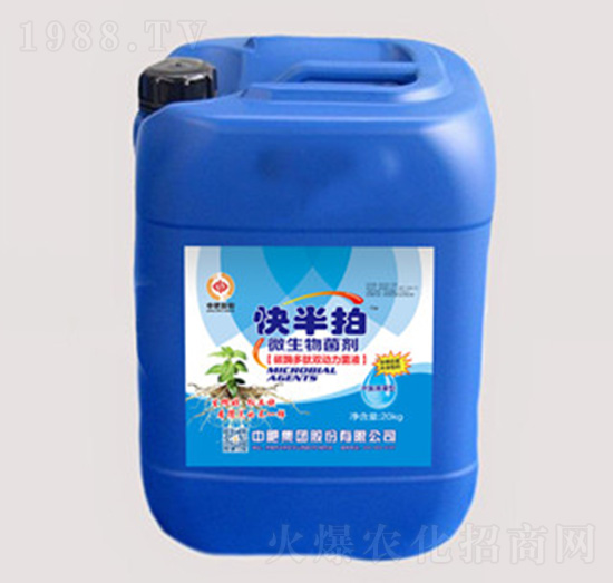 20kg΢�������-�����-�����ʘI(y��)