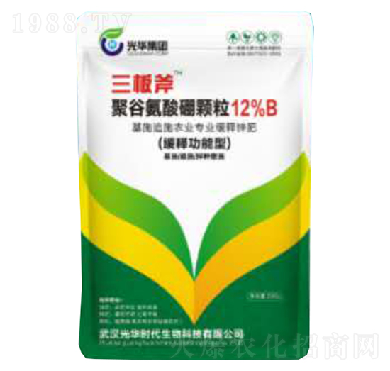 �۹Ȱ������w��-���A�r��