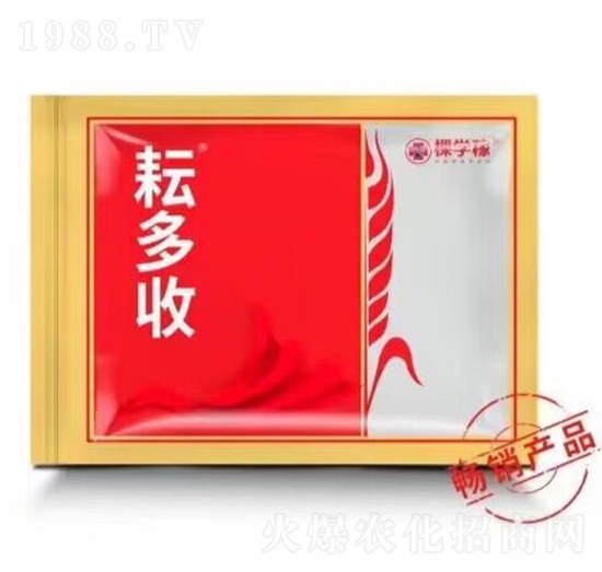 С���β����x���a�ײ�-�Ŷ���-�ÌW��