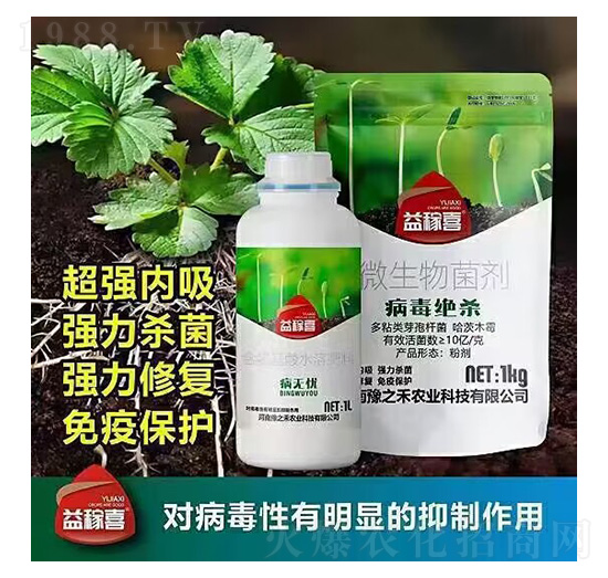 ���o�n+�����^��-���ϲ-ԥ֮��