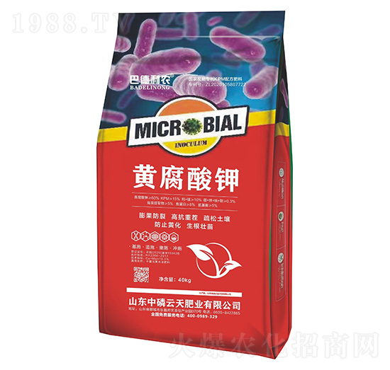 �S�����-�͵����r(n��ng)-��������