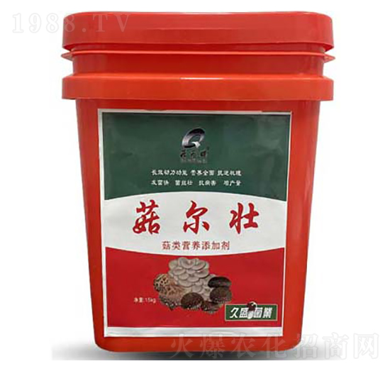 ��I�B(y��ng)���ӄ�-��ʢ��������-���_����