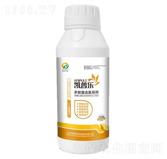 ƿ�b�������ϰ�����-�P�՘�-�Ŵ�����