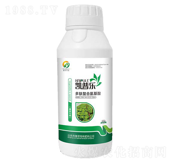 �߲ˌ��ö������ϰ�����-�P�՘�-�Ŵ�����