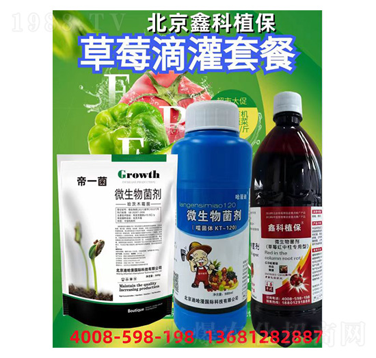 ��ݮ�ι��ײ�-�ο�ֲ��