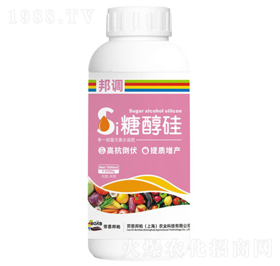 糖醇硅-邦調-勞恩邦柏