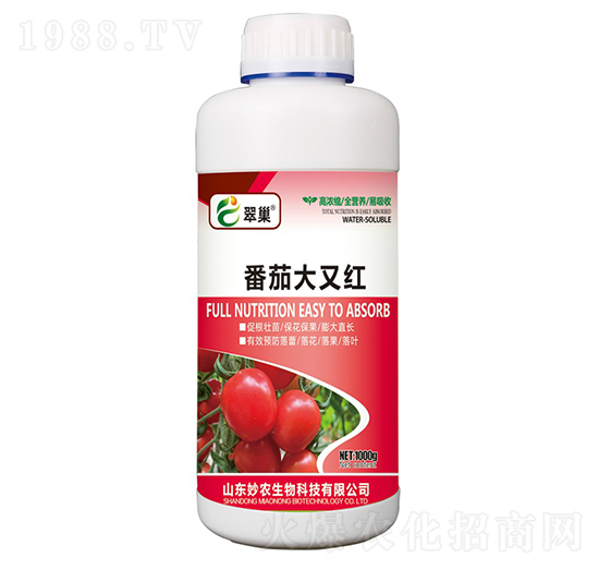 番茄大又紅-翠巢-妙農(nóng)生物