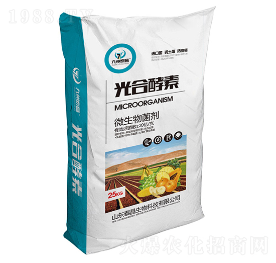 ��Ͻ���-��̩����