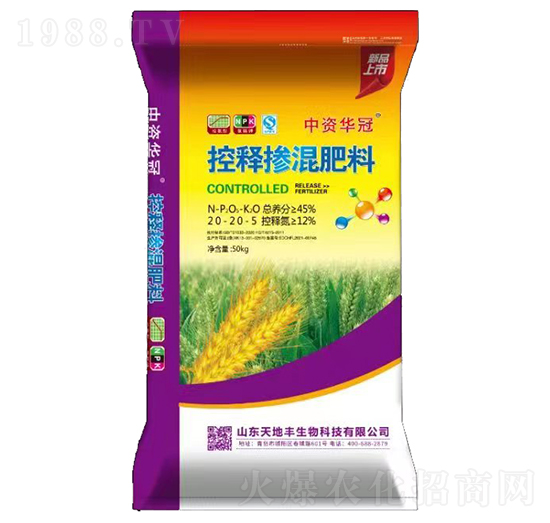 ��ጓ������20-20-5-���Y�A��-����S