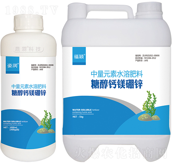 �Ǵ��}�V���\-���f-��������